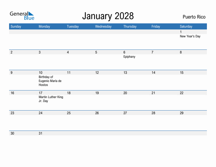 Fillable January 2028 Calendar