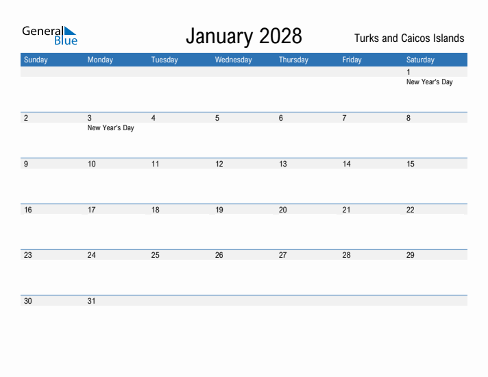 Fillable January 2028 Calendar