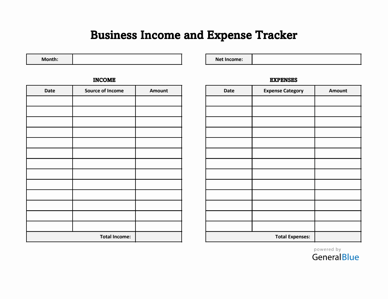 Free Business Income and Expense Tracker in Excel (Simple)