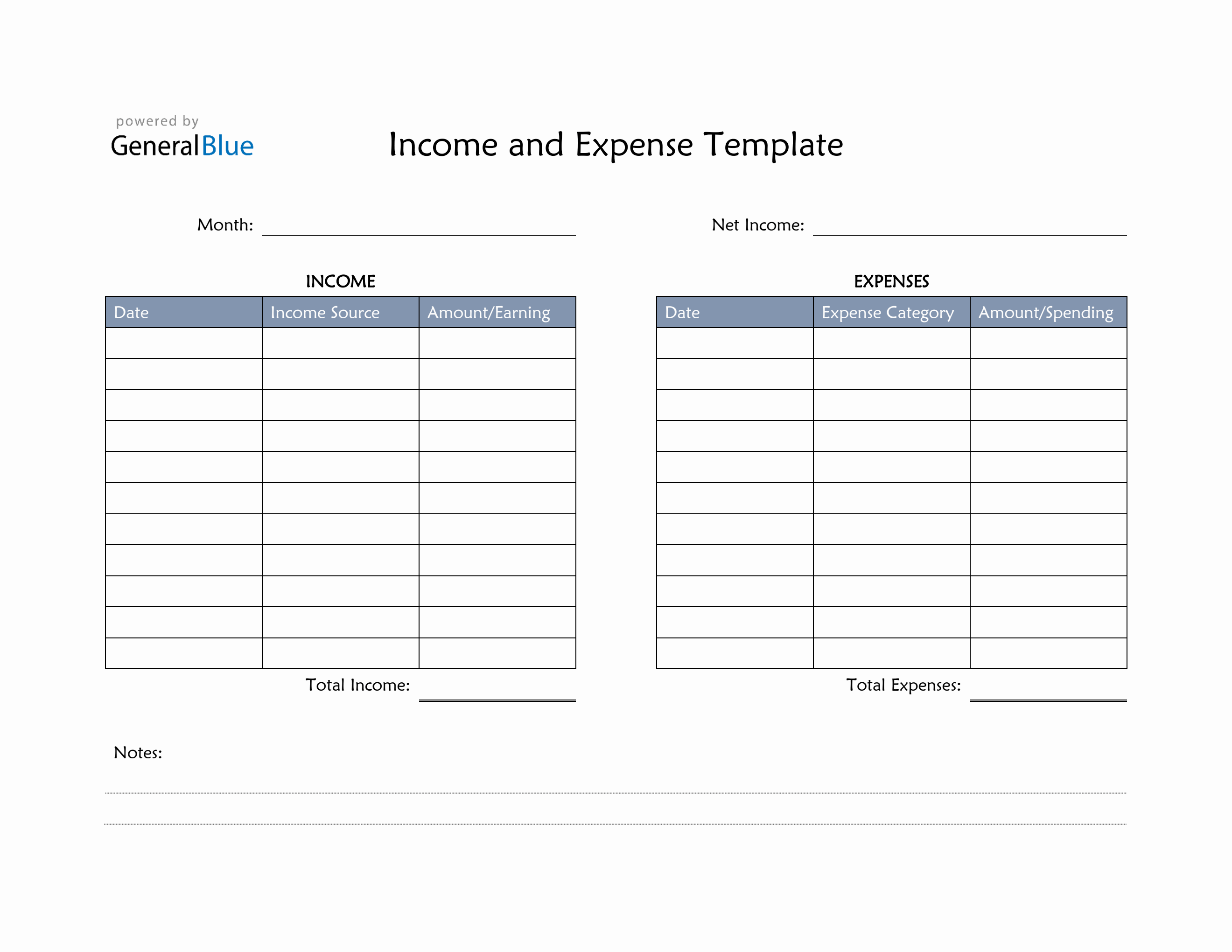 Simple Net Income Expense Simple Income and Expense Template in PDF