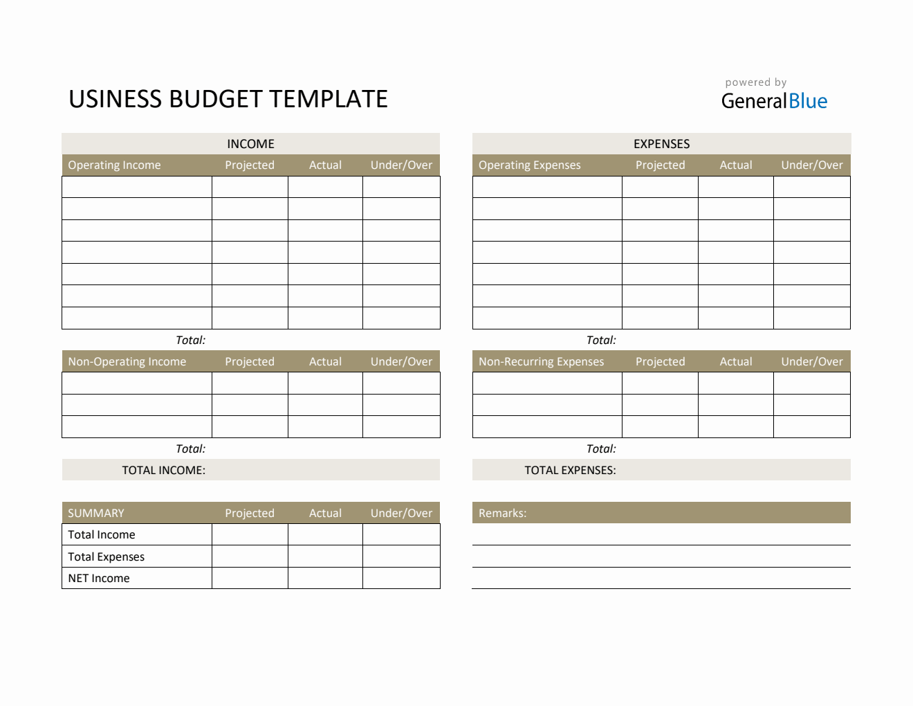Printable Business Budget Template in PDF (Basic)
