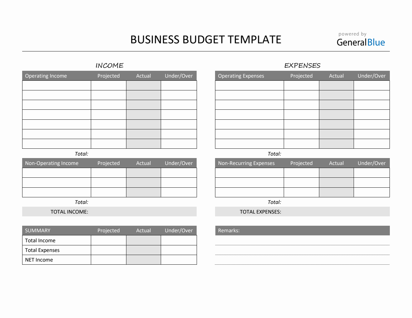 Printable Business Budget Template in PDF (Gray)