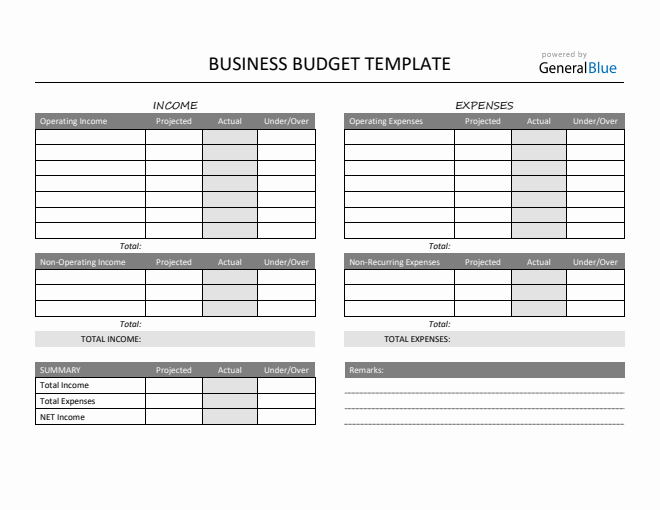 Printable Business Budget Template in PDF (Gray)