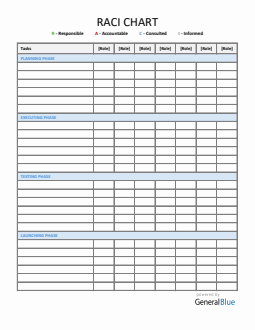 Empty Raci Spreadsheet RACI Matrix Project Management Template Excel (with Priority Level)