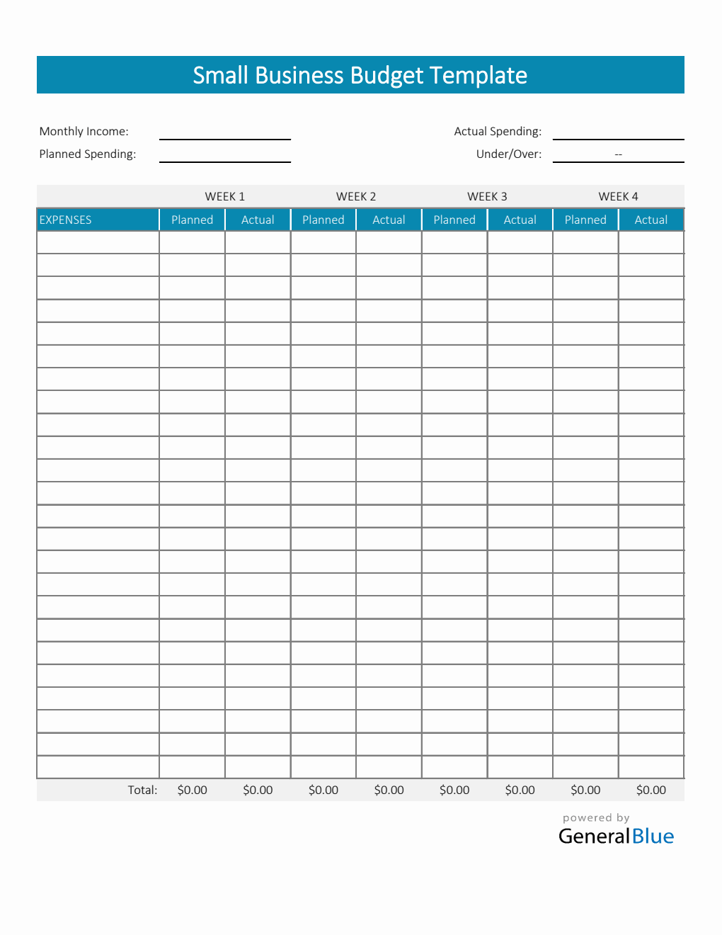 Small Business Budget Template in Excel (Colorful)