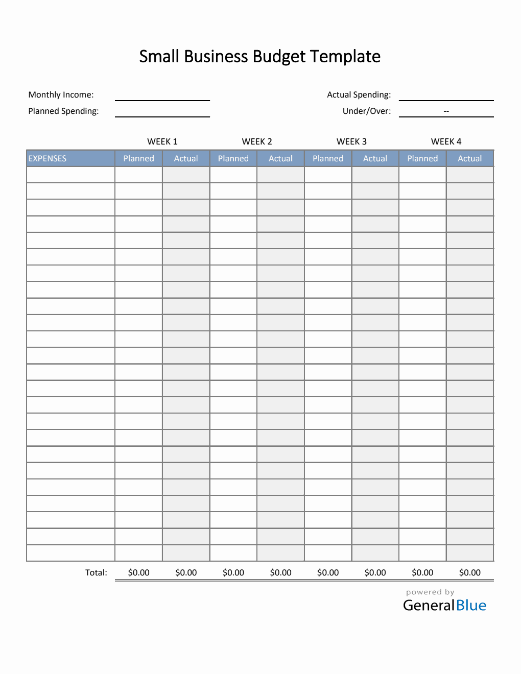 Small Business Budget Template in Excel (Basic)