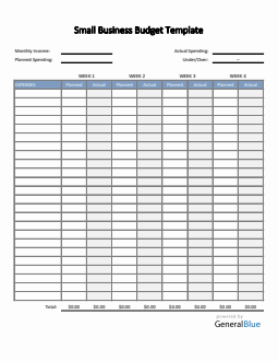 Small Business Budget Template in Word (Basic)