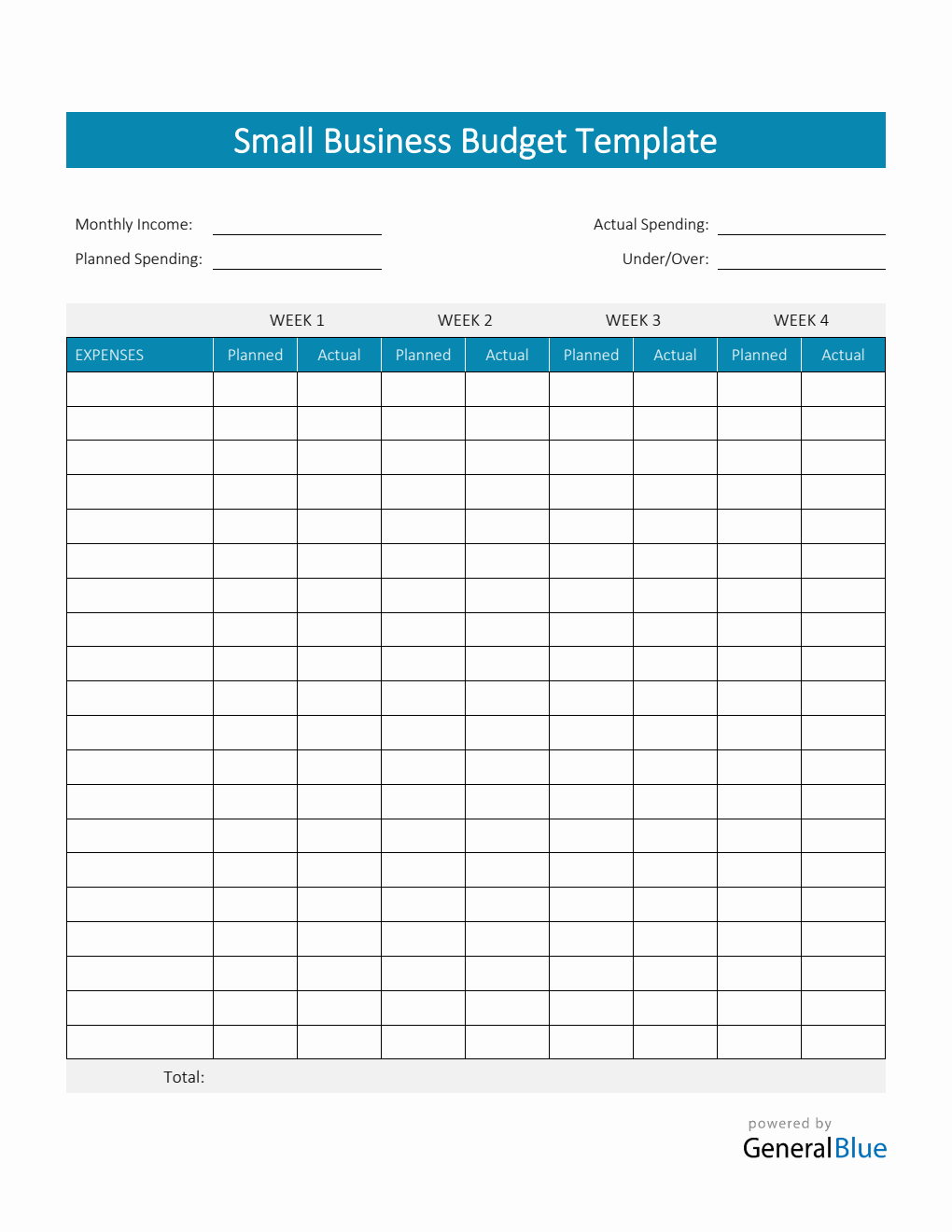 Small Business Budget Template in PDF (Colorful)