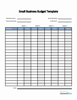 Small Business Budget Template in PDF (Basic)