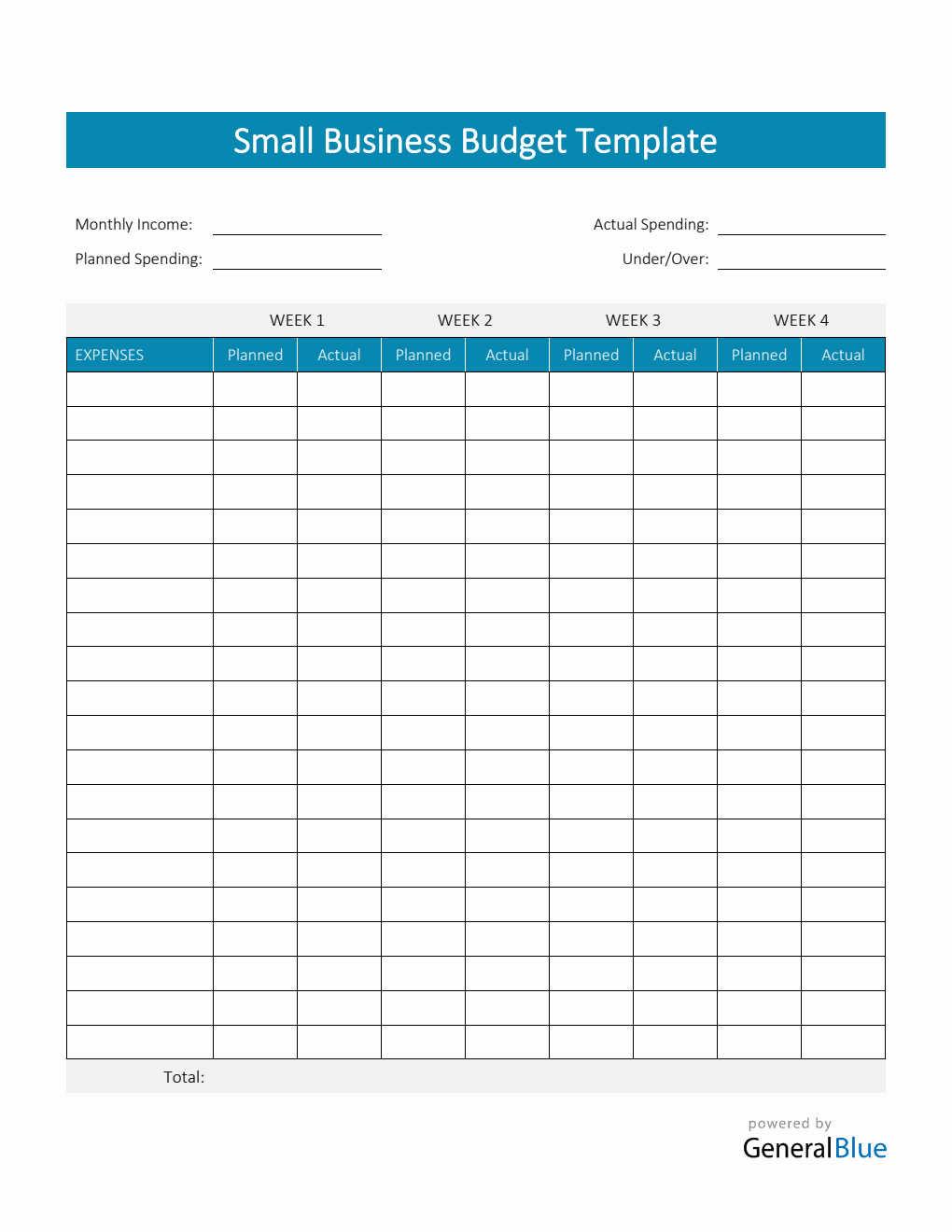 Small Business Budget Template in Word (Colorful)