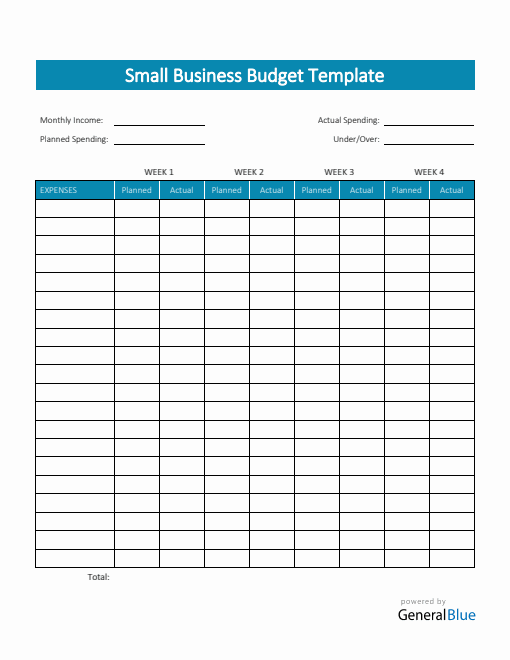 Small Business Budget Template in Word (Colorful)
