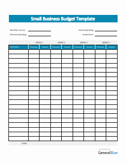 Small Business Budget Template in Word (Colorful)