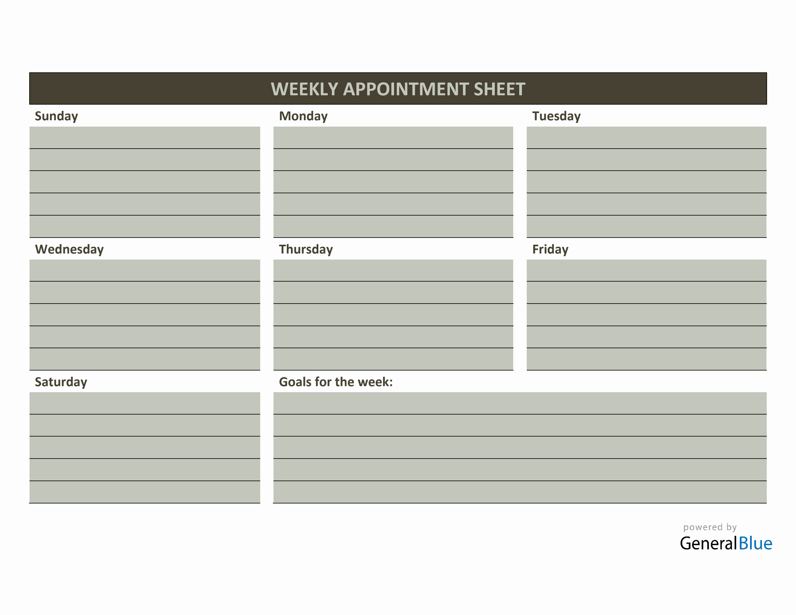 Carbon Copy Appointment Schedule Sheet