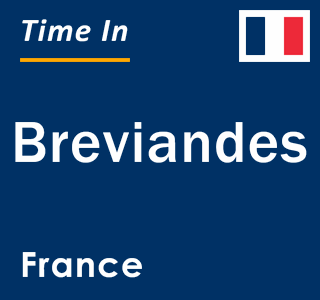 Current local time in Breviandes, France