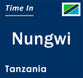 CURRENT LOCAL TIME IN NUNGWI TANZANIA intelligence overview