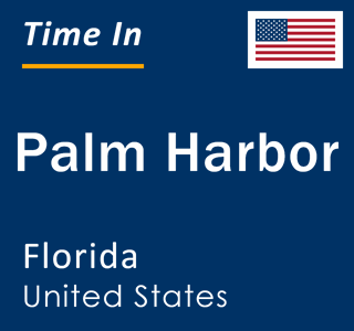 Current local time in Palm Harbor, Florida, United States