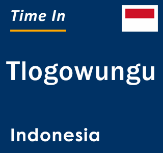 Current local time in Tlogowungu, Indonesia