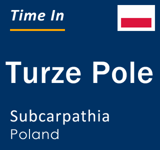 Current local time in Turze Pole, Subcarpathia, Poland